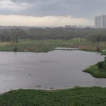 Hyderabad rains