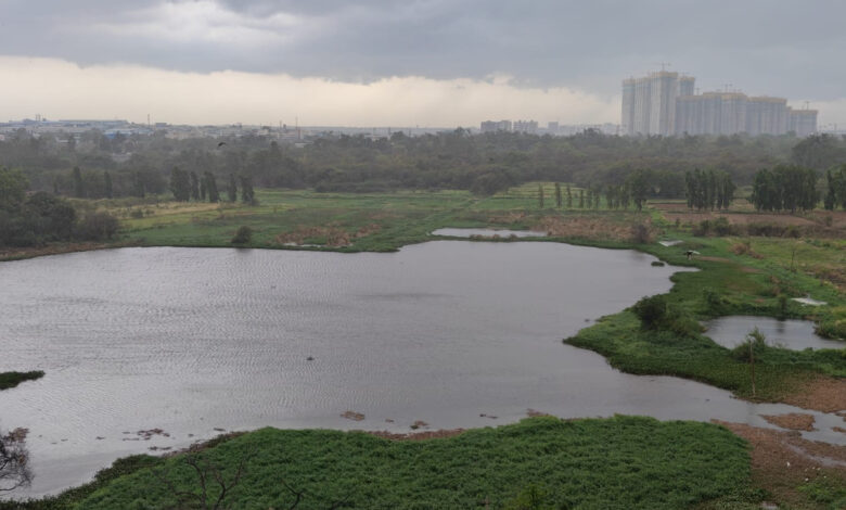 Hyderabad rains