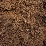 Soil
