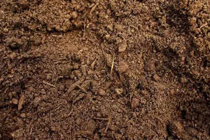 Soil