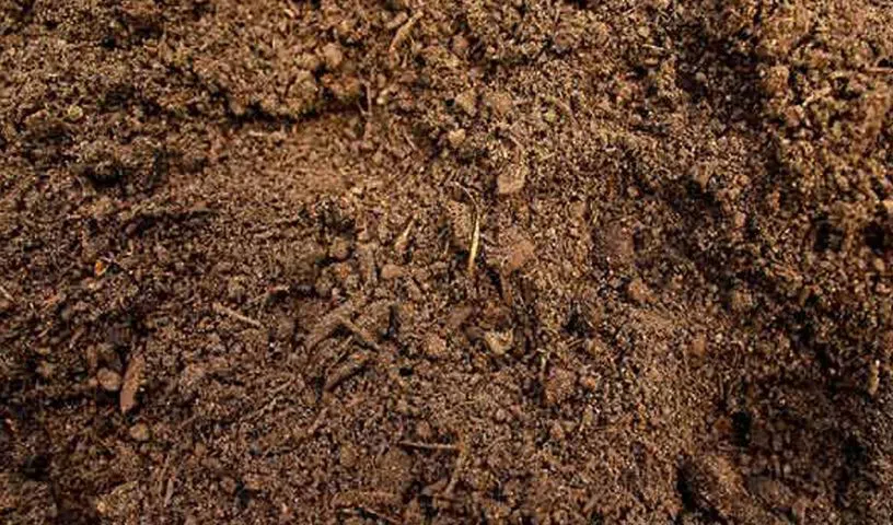 Soil