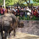 zoo