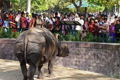 zoo
