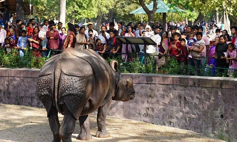 zoo