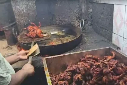 chicken