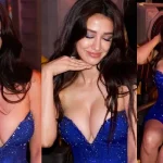 Disha