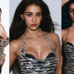 Dishapatni