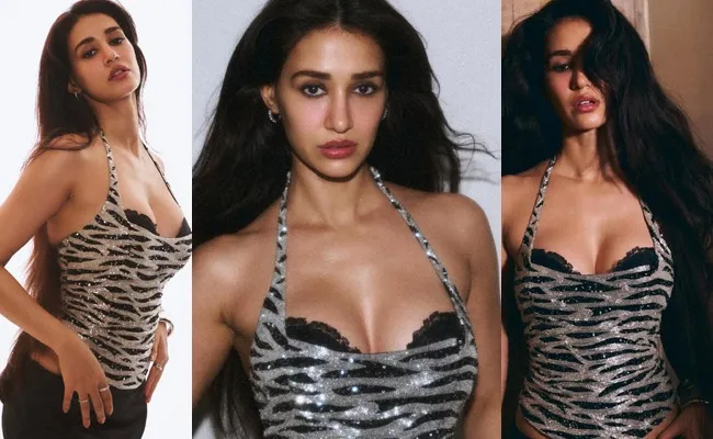 Dishapatni