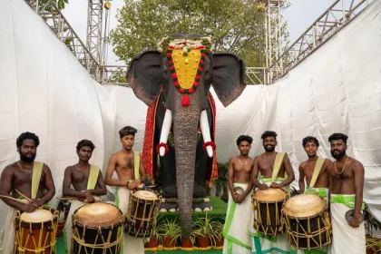 Elephants