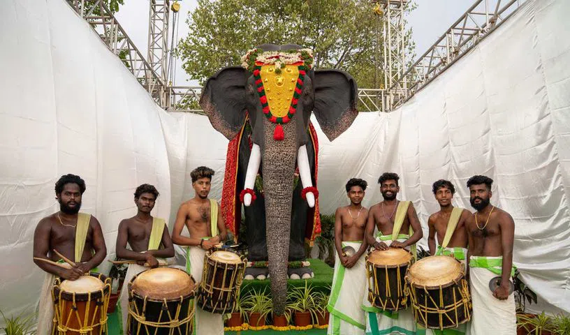 Elephants