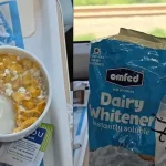 Milk